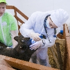 VI Открытый Региональный чемпионат «Молодые профессионалы» (WorldSkills Russia) – 2019 в Кузбассе