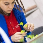 VIII Национальный чемпионат «Молодые профессионалы» (WorldSkills Russia) – 2020, Новокузнецк